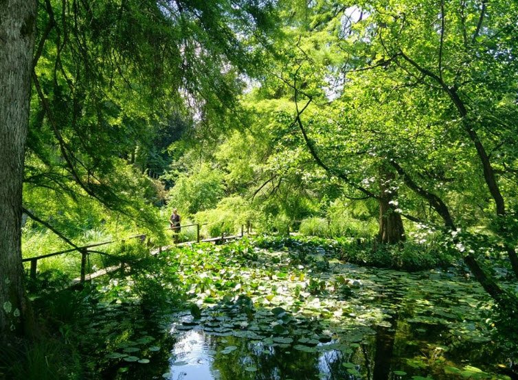 Orto Botanico di Lucca, Lucca, Italy, Italy